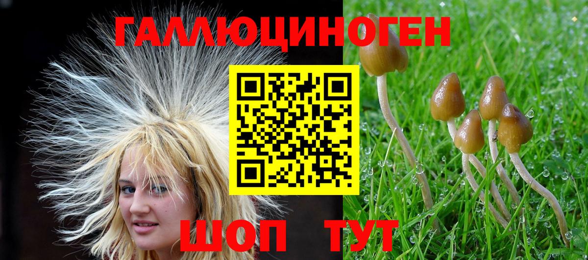 Галлюциногенные грибы мицелий  Вход с VPN  купить наркотик  Добрянка 